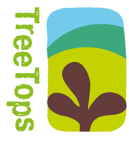 Time Chronicles Logo